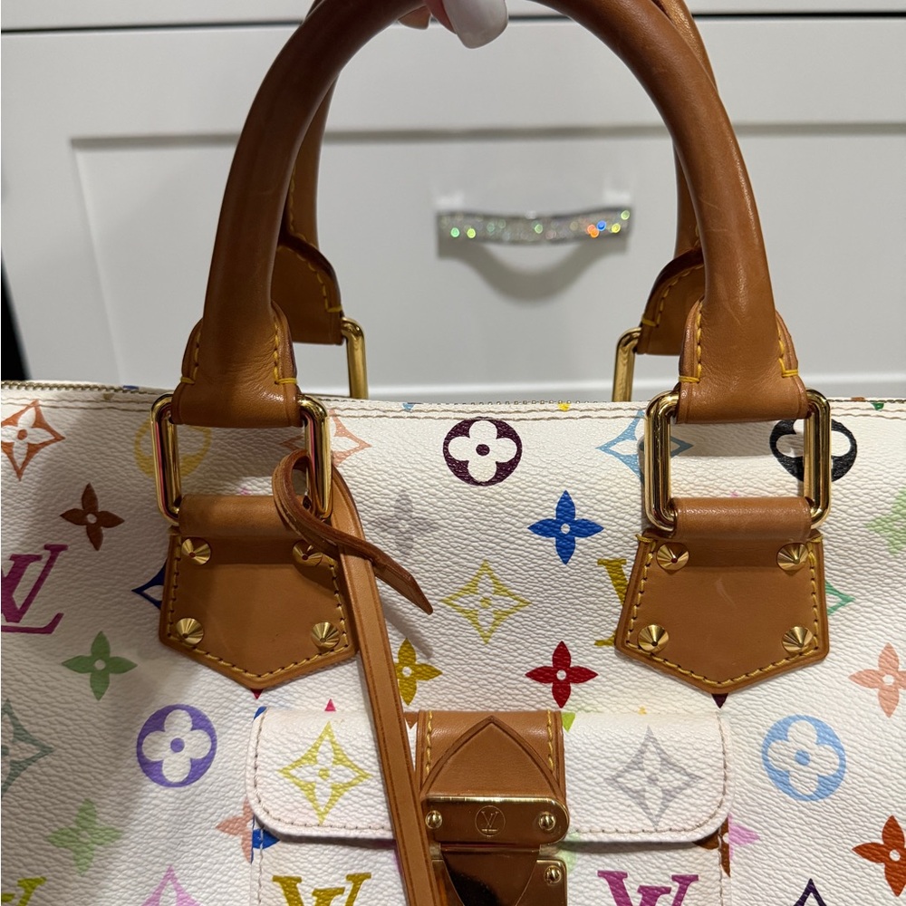 Louis Vuitton Multicolor Speedy 30 - Picture 11 of 17